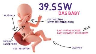 39 SSW  Die 39Schwangerschaftswoche von Babycloud [upl. by Crispen]