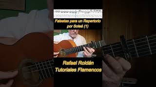 Falsetas para un Repertorio por Soleá 1 [upl. by Acillegna75]