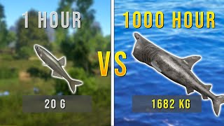 Russian Fishing 4  1 Hour VS 2000 Hour Account rf4 russianfishing4 [upl. by Innor644]