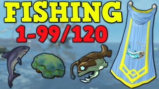 199120 Fishing Guide 2022  Profitable AFK amp Fastest Methods  Runescape 3 [upl. by Atikel643]