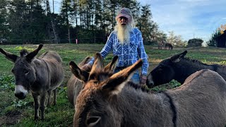 North Carolina Man Has Lived on the Same Farm for 83 Years Waynnie Takes Us On a Tour on His Farm [upl. by Ferrick255]