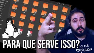 Cadê o Disco quotC\quot do Linux  Entenda a estrutura de diretórios [upl. by Kemme489]