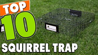 Best Squirrel Trap In 2024  Top 10 Squirrel Traps Review [upl. by Atiuqehs985]