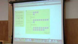 DNA Synthesis DNA Replication by Kevin Ahern Part 6 of 6 [upl. by Acsicnarf]