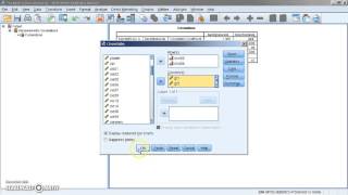 Kendalls tau b correlatiecoëfficiënt met SPSS [upl. by Nagel994]