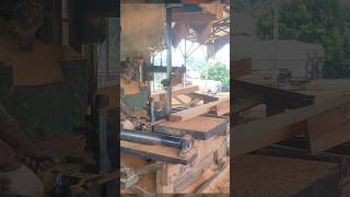 proses penggergajian kayu kempas wood bandsaw [upl. by Hatch]