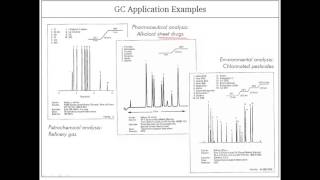 Gas chromatography applications [upl. by Jaehne534]