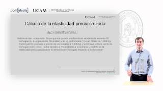 Microeconomía I  La elasticidad de la oferta y de la demanda 5  Alfonso Rosa [upl. by Beaufert]