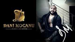 Dani Mocanu  Voi ramane jupan  Official Audio [upl. by Yllus]