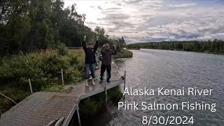 Alaska Kenai River Silver Salmon Fishing [upl. by Thay280]