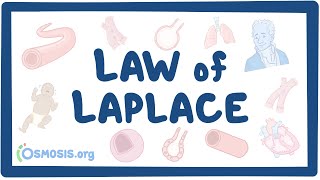 Law of Laplace [upl. by Notsnhoj770]