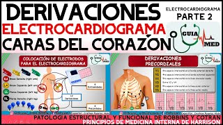 DERIVACIONES ELECTROCARDIOGRAMA Y CARAS DEL CORAZÓN  GuiaMed [upl. by Shannah]