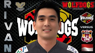 RIVAN NURMULKI WOLFDOGS 🆚 VC NAGANO rivannurmulki wolfdogs voli voliindonesia [upl. by Aicirtel579]