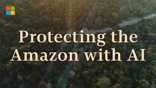 Protecting the Amazon from deforestation with Microsoft AI [upl. by Idarb]