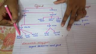 Shortest syllabus to PASS HISTOLOGY paper written pages by me MUST WATCH [upl. by Swinton]