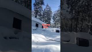 Himachal today snow nature snowfall viral shorts [upl. by Uhej]