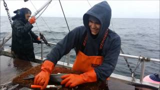 Makah Longline Fishing [upl. by Ocihc847]