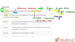 Assertion  Epinephrine is commonly called sympathomimic hormone Reason  Epinephrine and sympa [upl. by Ainatit299]