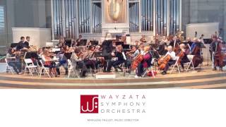 Wayzata Symphony Orchestra Nov 2016 [upl. by Derek]