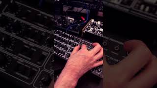 Adding some ARPs with the Behringer Pro800  chilloutmusic [upl. by Eico]