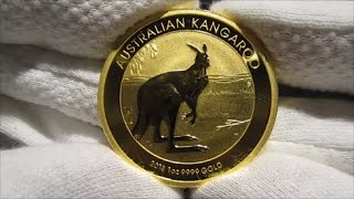 2013 Australian Kangaroo Gold Coin 1 Oz [upl. by Harvey902]