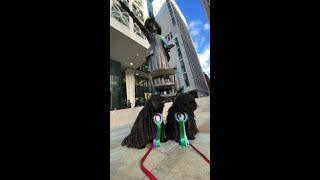 Dogs Pose With Suffragette Statue in Manchester for International Womens Day [upl. by Artiek87]