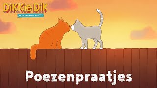 Poezenpraatjes 🐱 Kids praten over huisdieren [upl. by Tore856]