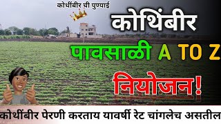 🚜💪🏻 pavsali kothimbir niyogen  कोथींबीर ची पुण्याई 💯  पावसाळी कोथिंबीर लागवड माहिती [upl. by Nosnirb]