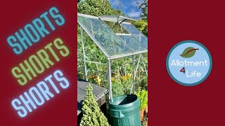 Small greenhouse ideas for beginners [upl. by Delphina]