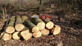 This Winters Tree Felling  Done With a Battery Chainsaw [upl. by Willis145]