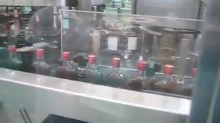 Rotary Liquor Bottle Cold glue labeling machine [upl. by Adigun779]