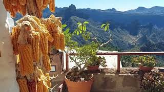 Gran Canaria unterwegs auf der Insel bei Traumwetter [upl. by Aratak]