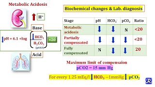 3 Metabolic Acidosis amp Metabolic Alkalosis  Acid Base Balance  Biochemistry [upl. by Abekam]