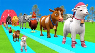 Paint amp Animals CowGorrilaElephantZebraPigLionHusky Fountain Crossing Transformation Cartoon [upl. by Anpas]