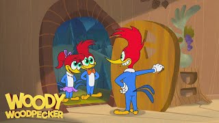 Woody Woodpecker Animated Compilation For Kids  WildBrain Max [upl. by Arbba]