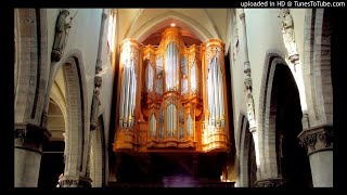 Gabriels Oboe from The Mission  Organ [upl. by Prima]