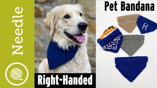 How to Knit a Pet Bandana 3 sizes EASY [upl. by Itagaki364]