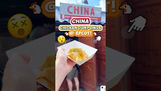 Epcot Chicken Dumplings WORTH TRYING 🤔🐔 Best Food amp Wine Options [upl. by Reinert]