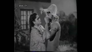 1954  Panggilan Pulau Full Movie  P Ramlee [upl. by Rashidi]