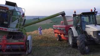 Primo Grano la festa di Rustichella dAbruzzo [upl. by Ahsiket896]