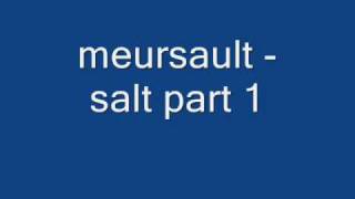 Meursault  Salt Part 1 [upl. by Aicilegna]