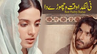 Nai Langda waqt vichore da  Khuda aur mohabbat Whatsapp Status  baba bulleh shah poetry status [upl. by Everara201]