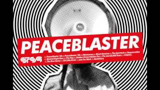 STS9  Peaceblaster 08 [upl. by Lrae]