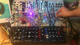 Behringer Model D and Eurorack Rings plonk clouds dld oampc Modular synth ambient generative [upl. by Ainoet38]