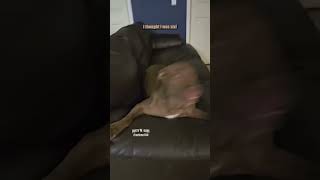 😂🤣😂😂 dog funny comedy [upl. by Florenza]