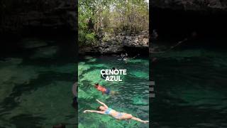 Cenote Azul a 25 minutos de Playa del Carmen 😎☀️🌴 playa playasdecancun caribbeanisland travel [upl. by Cyd]