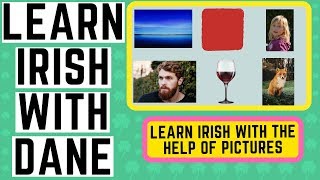 Learn Irish With The Help Of Pictures [upl. by Genesia]