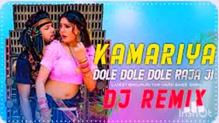 Kamariya Gole Gole Dole Raja ji 💥DJ remix Bhojpuri song 💥 [upl. by Pallua257]