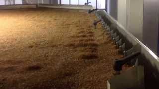 Cimbria Heid Gravity Separator in Wheat [upl. by Paulette]