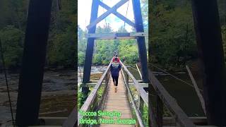 Toccoa Swinging Bridge river forest mountains nature [upl. by Gasper]